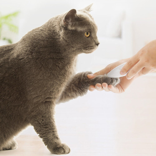 Pawbby Haarschneider für Hunde Katzen 2