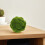 3 Stuks Gesimuleerde Moss Bollen Groen Voor Plafond Decor 6