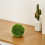 3 Stuks Gesimuleerde Moss Bollen Groen Voor Plafond Decor 7