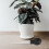5 Piezas Para Plantas Extractor Macetas 5
