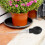 5 Piezas Para Plantas Extractor Macetas 4