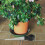 5 Piezas Para Plantas Extractor Macetas 6