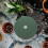 10Pcs Nonwovens Tree Mulch Rings Protector Mats Round Plant Covers 9