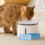 12 Pcs Cat Water Fountain Filter: Activated Carbon Purification Pad 6