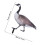Garden Duck Insert Stake Acrylic Decorative Courtyard Sign 2