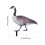 Garden Duck Insert Stake Acrylic Decorative Courtyard Sign 3