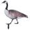 Garden Duck Insert Stake Acrylic Decorative Courtyard Sign 4