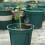 20Pcs Fertilizer Baskets With Lid Portable Plastic Bonsai Container 10