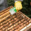 2Pcs Bee Queen Marking Bottle And Catcher Plastic Rearing Tool 5