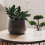 1 Pezzo Artificiale Albero Finto Decorazione Verde 4