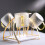 Water Cup Draining Rack Glass Holder With Tray 9