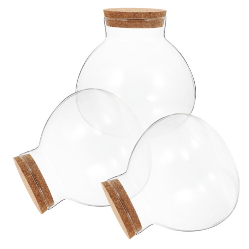 3St Versiegelte Glasflasche Mit Für Microlandschaft