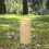 Paca De Paja Natural Para Decoración De Y 5
