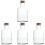 4 Probefläschchen, Exponatflasche, Glasröhrchen mit 6