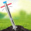 Long Handle Bulb Planter Tool Seedling Transplanter, Multi-Functional Tool For Field And Plastic Film Seedling Tray 5
