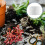 20St Blumenkasten Mesh Pads Filter Für Blumentöpfe 6