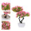 2Stk Künstliche Falscher Baum Bonsai 11