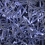 Premier 9.3m 720 LED Christmas Cluster String Lights with Timer in White on Clear Cable 6