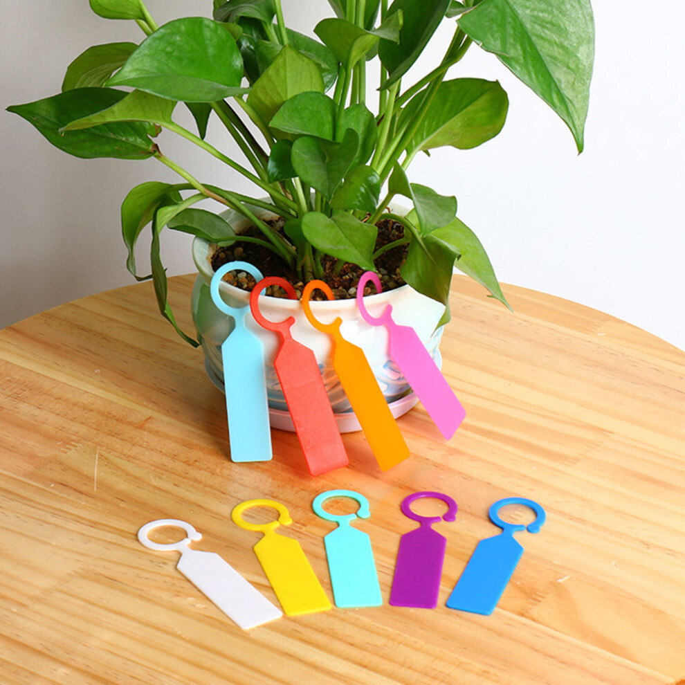 200Pcs Plastic Plant Labels Small Hanging Tags For Gardening Orange-image-OPC-PKVHZHT-NEW