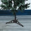 8 Pcs Christmas Tree Stand Stable Bracket For Artificial Trees 4