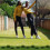 Fake Moss Grass Simulation False Moss Decor Plastic 1 Set 11