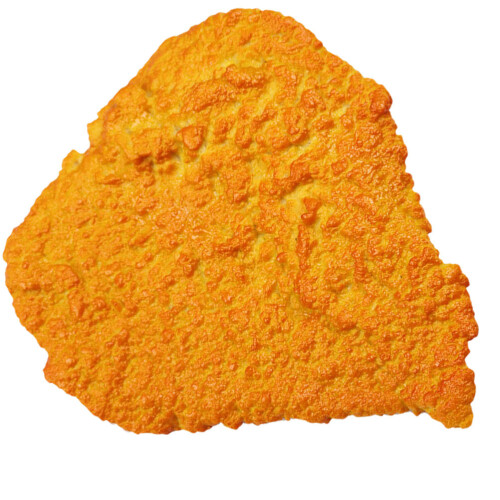 Plastic Chicken Cutlet Model Kitchen Photo Prop