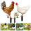 Garden Stakes Decor Acrylic 3pcs 9