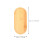 2 Pcs De Oval Para Plantas E Bonsai 2