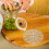 10 gurkengewichte aus netzmaterial für kimchi- marmeladengläser 5