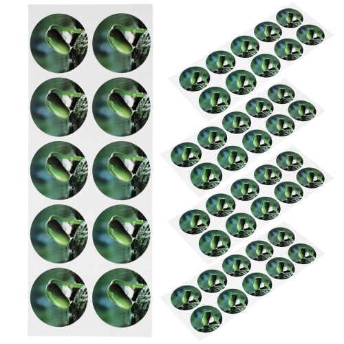 5 Sheets PVC Seed Pot Label Sticker For Hydroponic Plant Marking