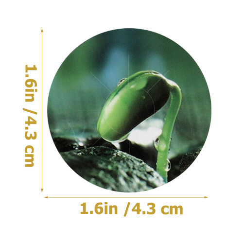 5 Sheets PVC Seed Pot Label Sticker For Hydroponic Plant Marking 1
