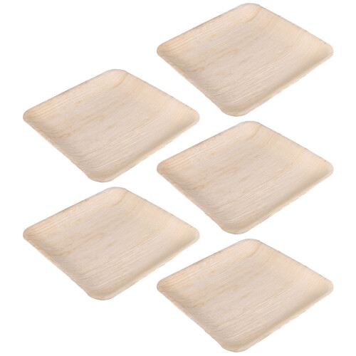 5Pcs Biodegradable Wooden 10Inch Square 1