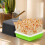 1 Set Plastic Nursery Pot With Lid For Hydroponic Planting Tray 8