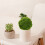 3pcs Fake balls Artificial Topiary for Garden Wedding 6