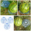 3pcs Plastic Watermelon Planting Tray Fruit Storage Tray Random Color 6