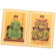Protective Amulet Card Assorted Color 2pack 3.38x2.12x0.00in