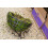 SuperMoss (21508) F??s?a ???s??a ???a se ??at???s? 5 ????e? 3