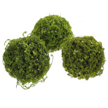 2 Pack Terrarium Artificial Grass Ball Plant Balls