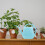 4L Vert Plastique Confortable Pour Plantes 5