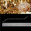 Stainless Double Head Moving Needle Tool For Larvae Worms 11