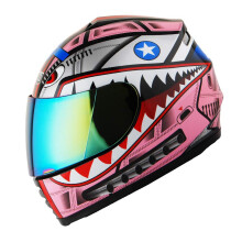 WOW Motorcycle Full Face Helmet Street Bike BMX MX Youth Kids Shark Pi
