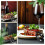 10pcs paper cutters and openers for lovers black 7