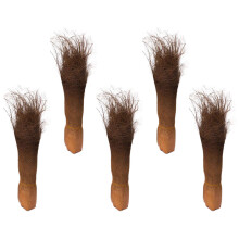 10 Pcs Palm Tree Bark For Landscaping Decorative Garden Background
