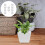 20 Pcs Diy Flowerpots Foam Mat Square Shape Pad Cushion 9