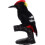 1Pc Woodpecker Bird Hard Model Simulation Teaching Decoration 8