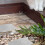 Rectangular Para Baldosas De Hormigón Patio 5