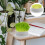 Indoor Cat Grass Planter Per Coltivazione 3