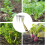 Scraper, Puller Tool Multipurpose Garden Tool For Aerating And Leveling Soil Portable Four-Teeth Garden Leveler 3
