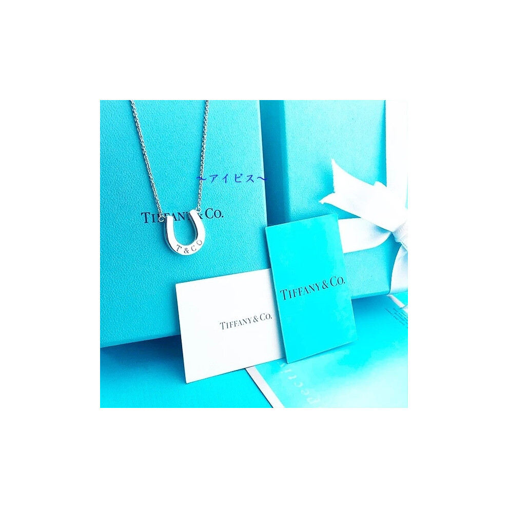 Gift Wrapping Tiffany Horseshoe Necklace 2