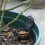 30 Pièces Boîte D'engrais Pour Plante En Pot 7